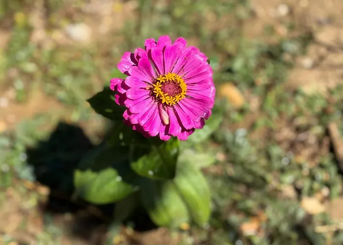 度假居 La Petite Maison Sainte-Marie-de-Chignac